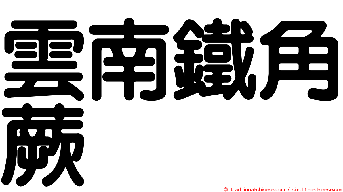 雲南鐵角蕨