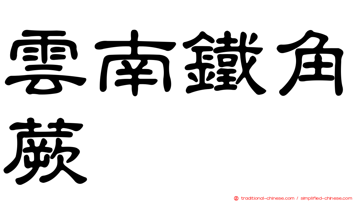雲南鐵角蕨
