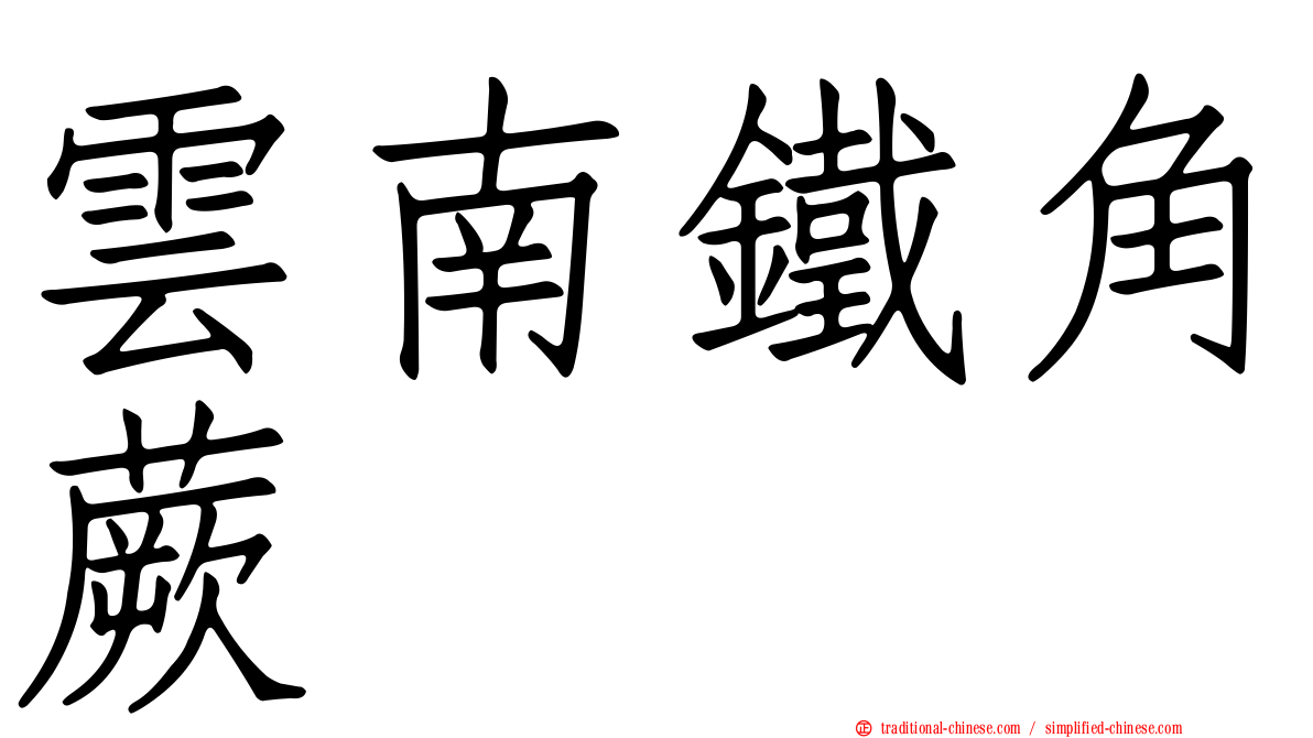 雲南鐵角蕨