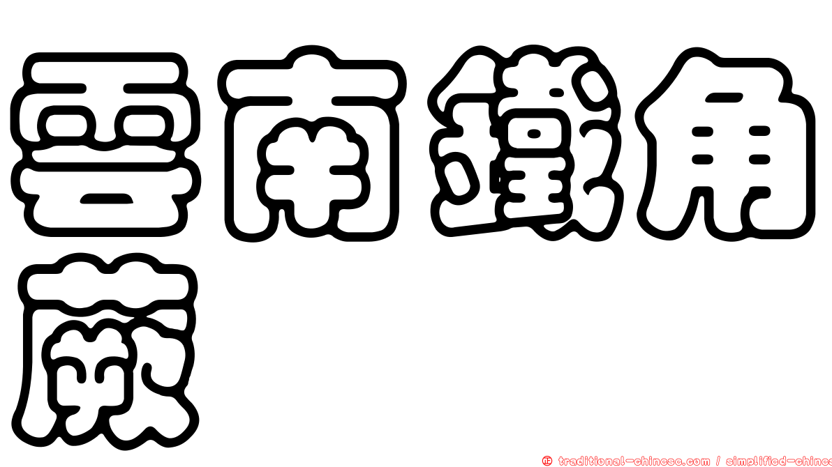 雲南鐵角蕨