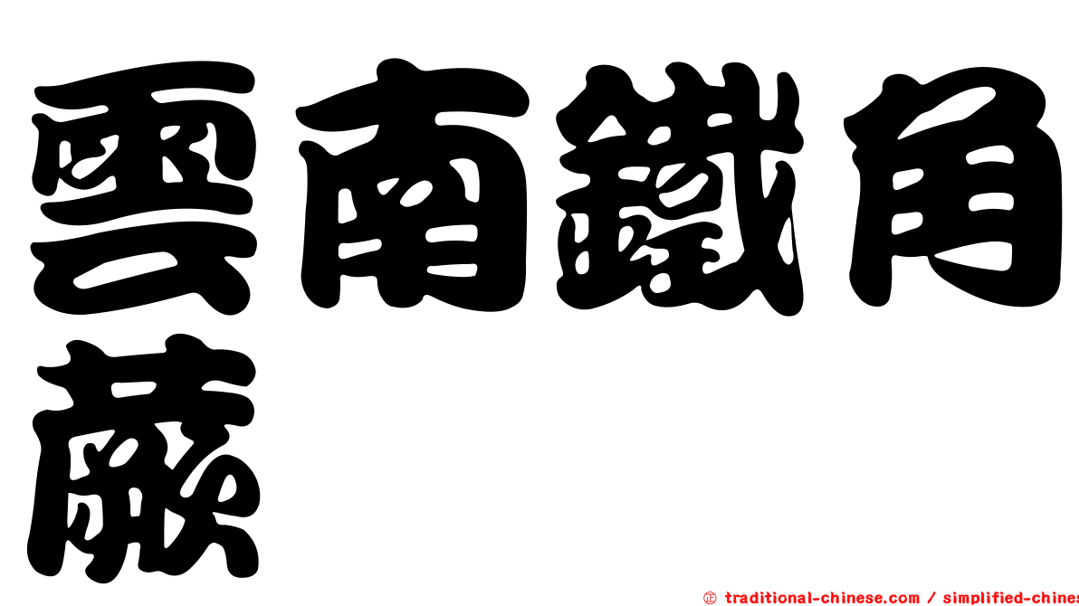 雲南鐵角蕨