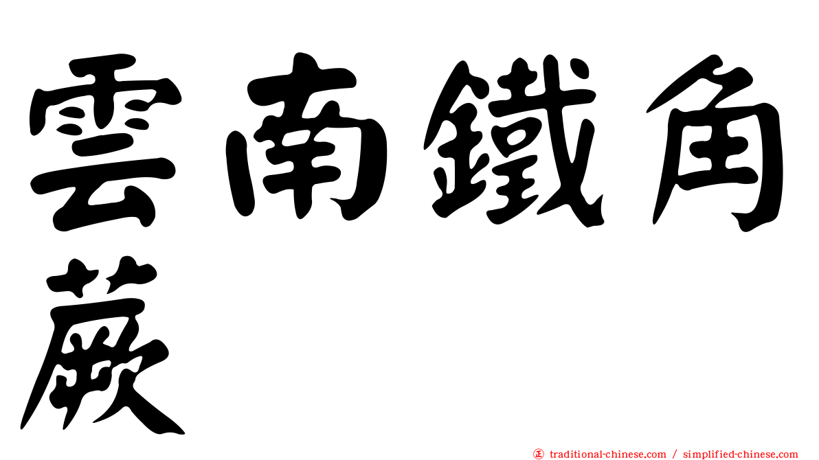 雲南鐵角蕨