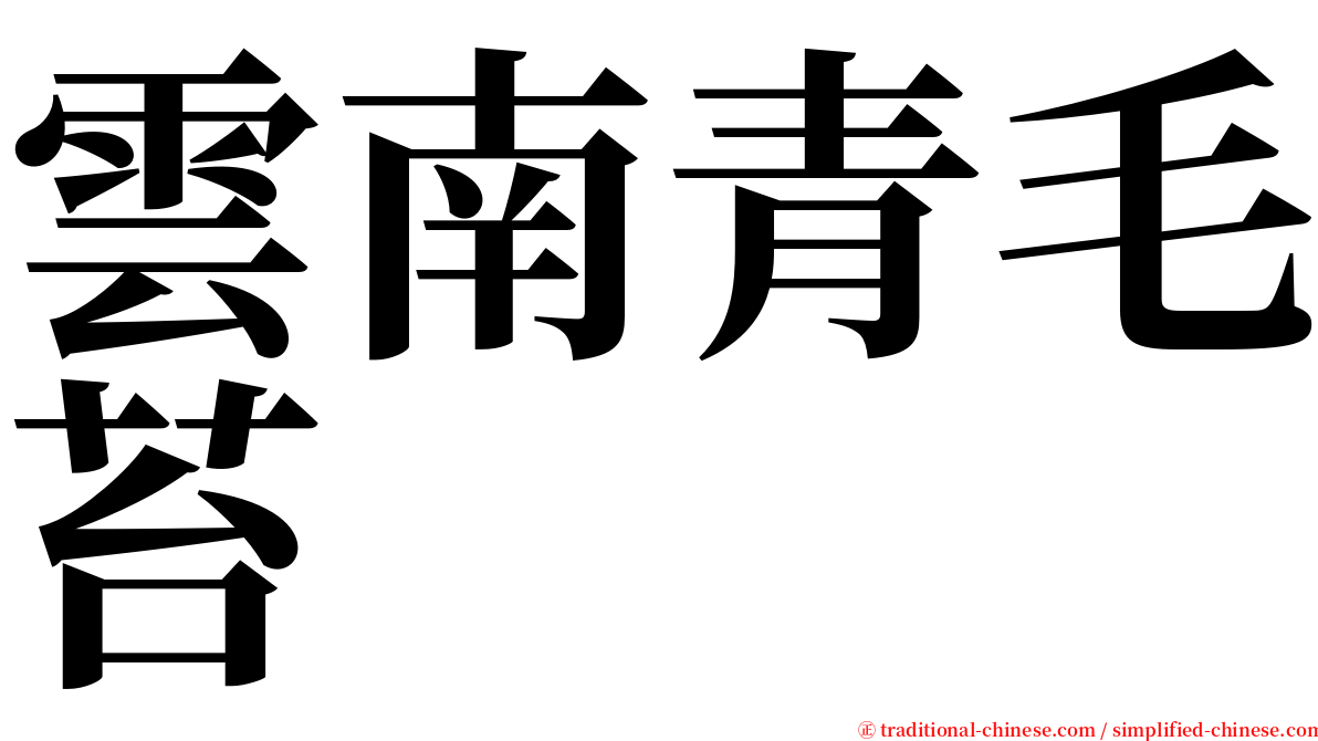 雲南青毛苔 serif font