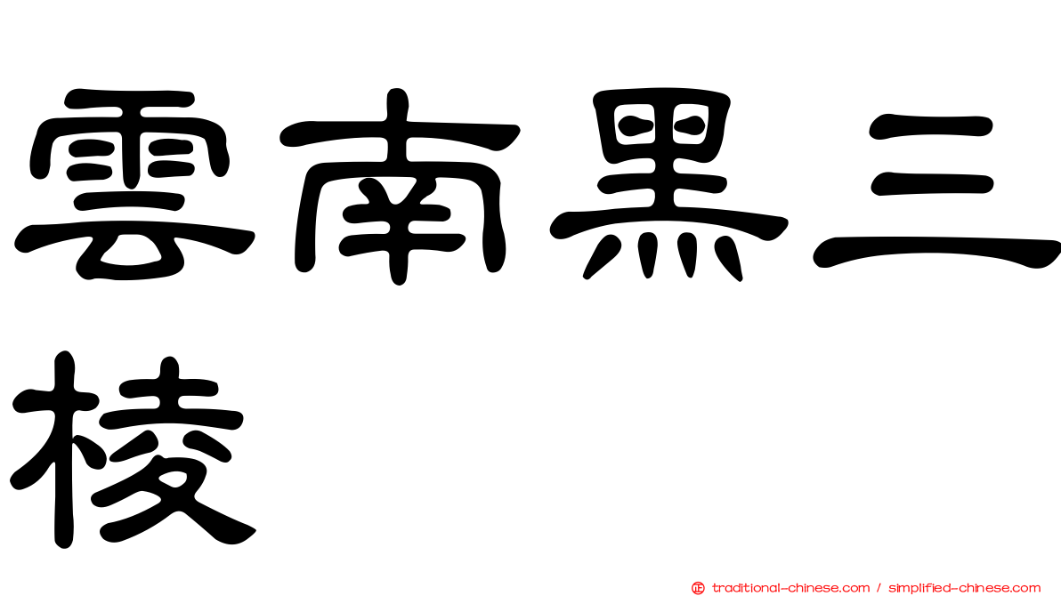 雲南黑三棱