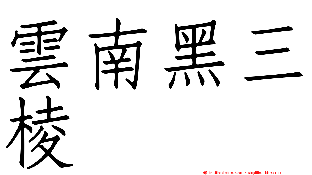雲南黑三棱