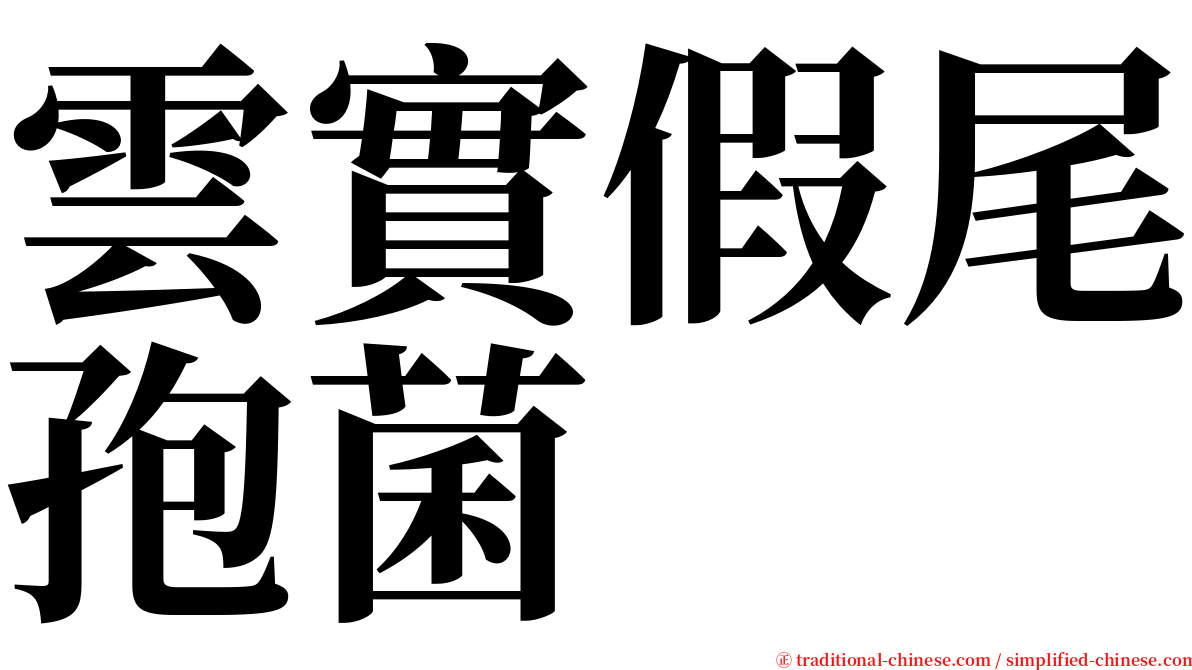 雲實假尾孢菌 serif font