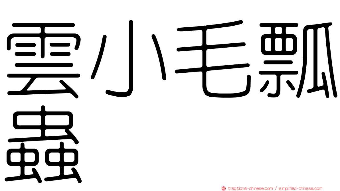 雲小毛瓢蟲
