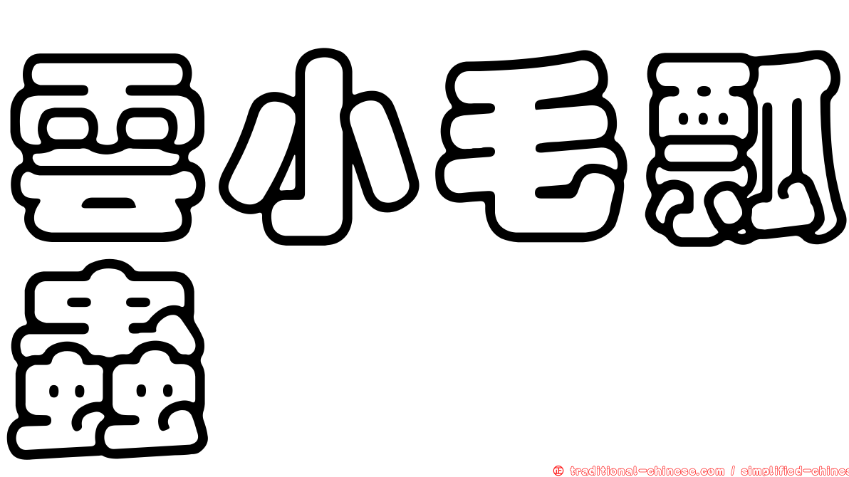雲小毛瓢蟲