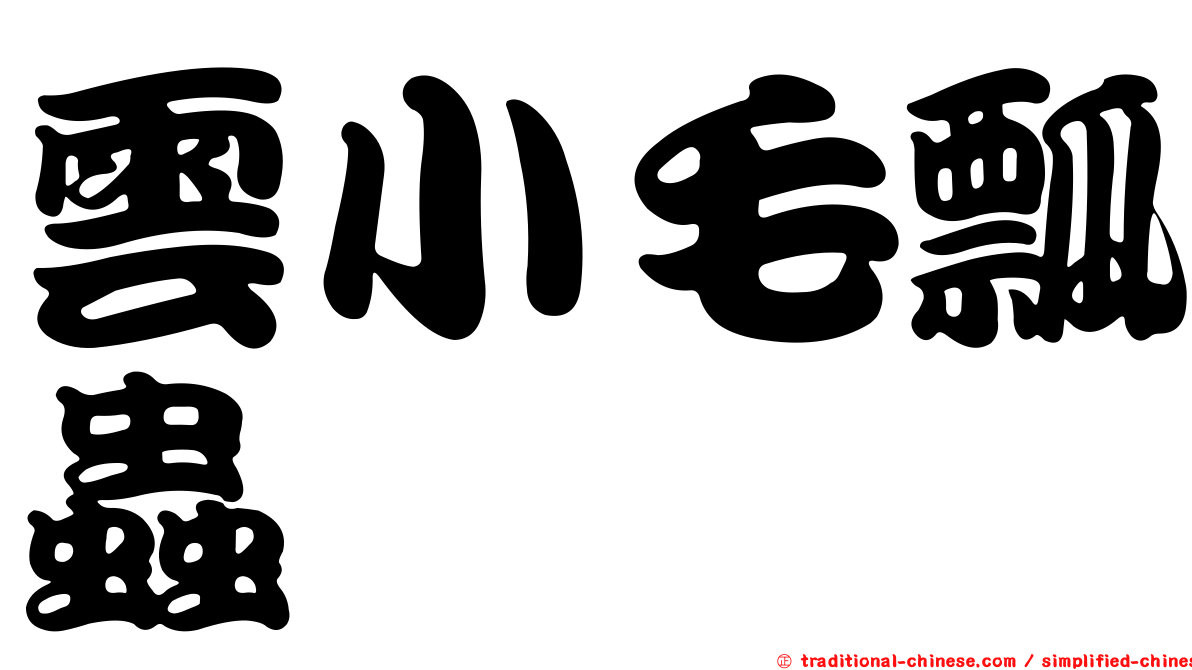 雲小毛瓢蟲