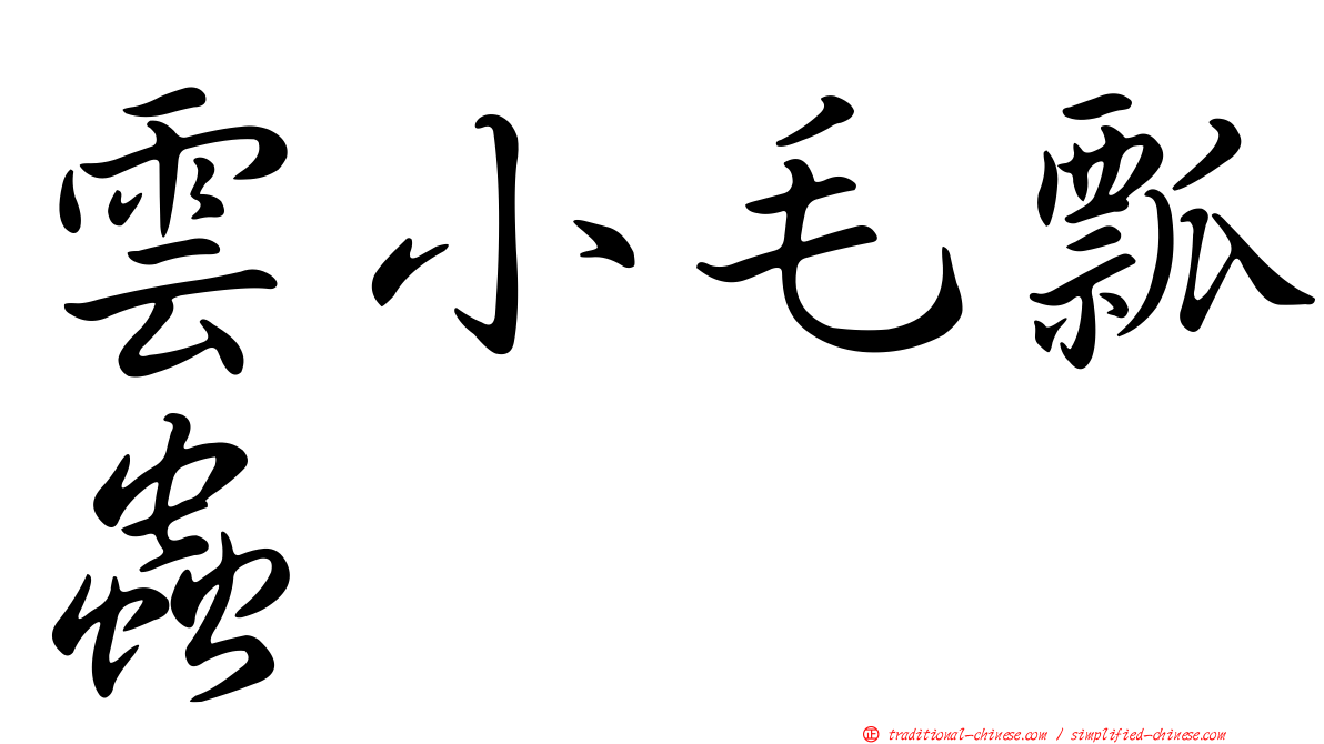 雲小毛瓢蟲