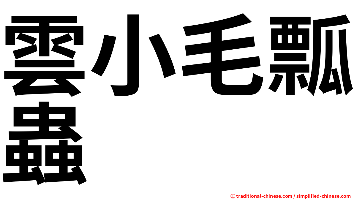 雲小毛瓢蟲