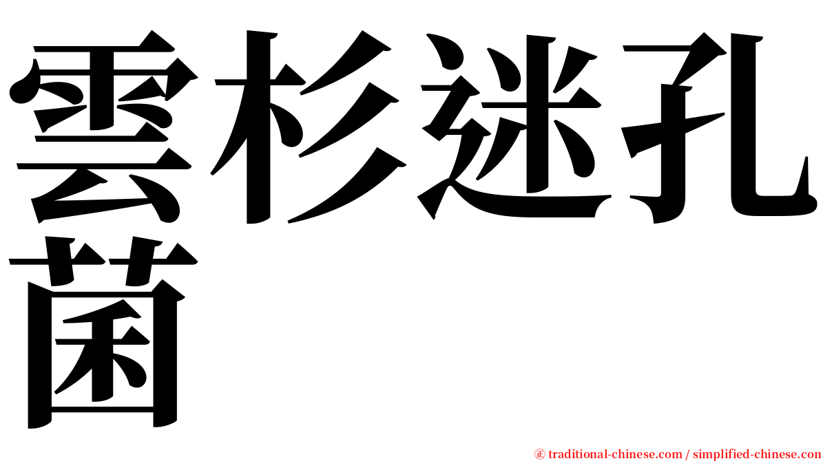 雲杉迷孔菌 serif font