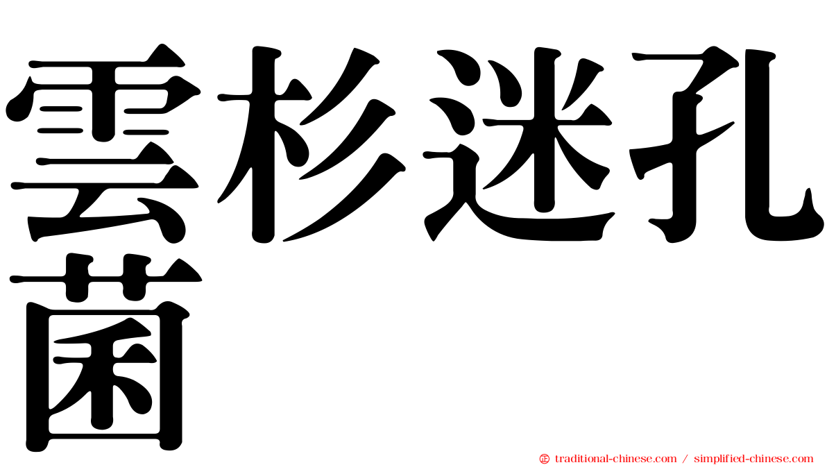 雲杉迷孔菌