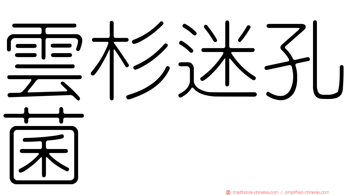 雲杉迷孔菌