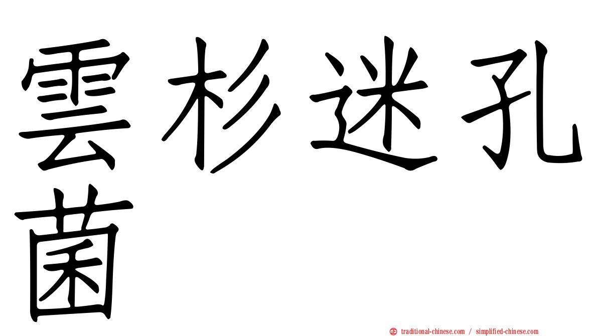 雲杉迷孔菌