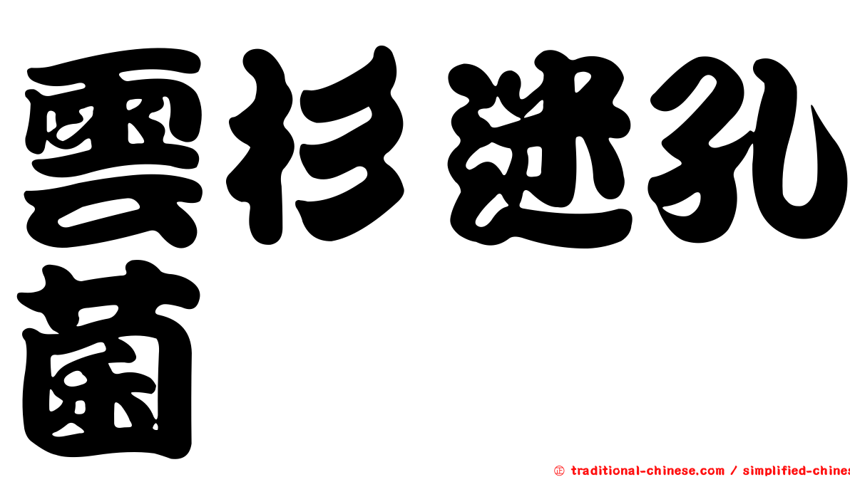 雲杉迷孔菌