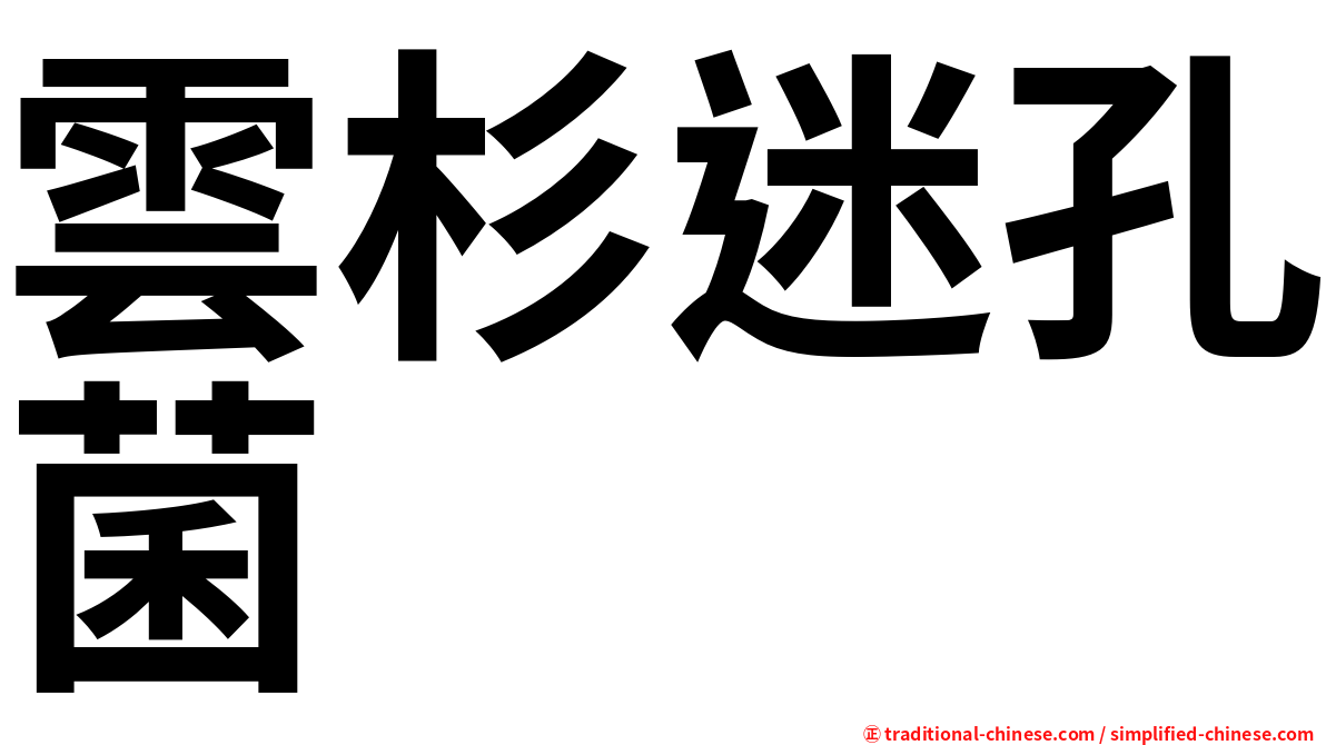 雲杉迷孔菌