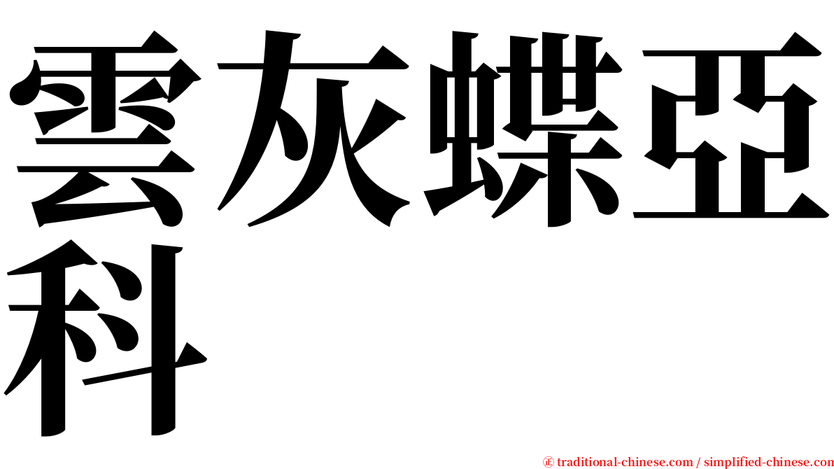 雲灰蝶亞科 serif font