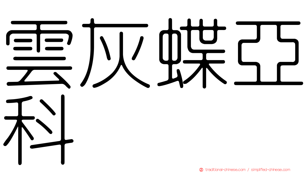 雲灰蝶亞科