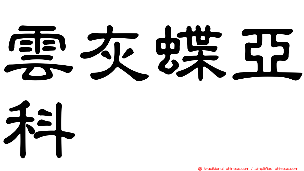 雲灰蝶亞科