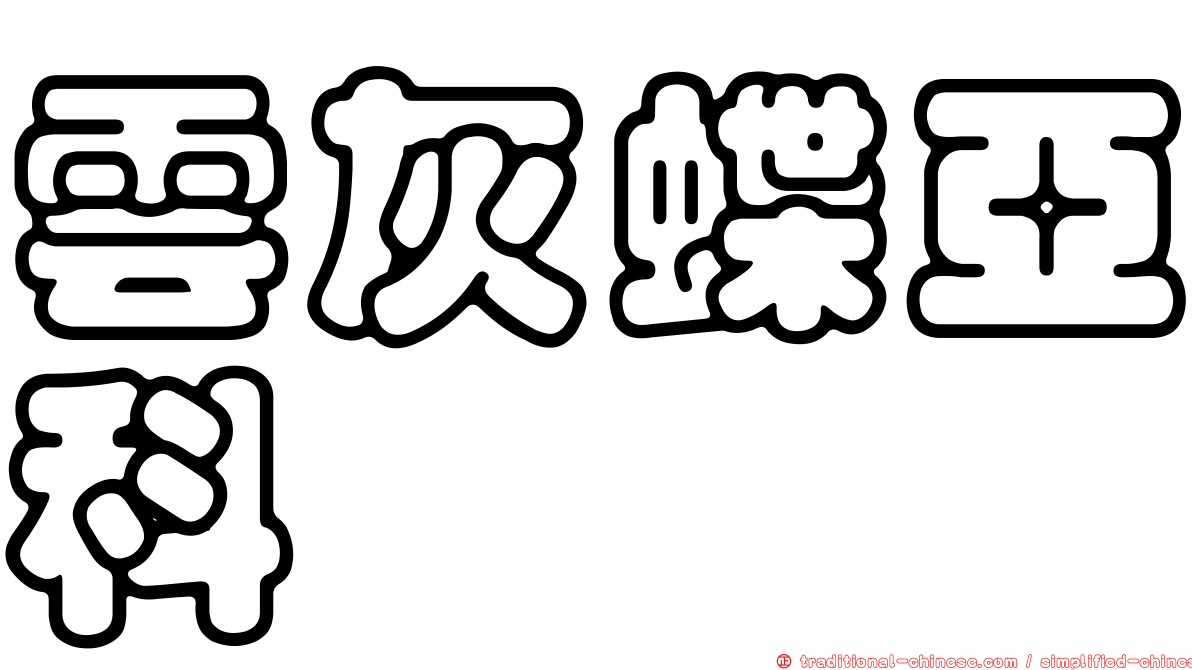 雲灰蝶亞科