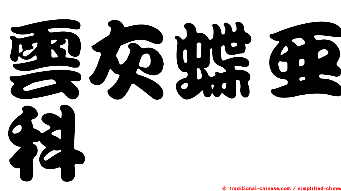 雲灰蝶亞科