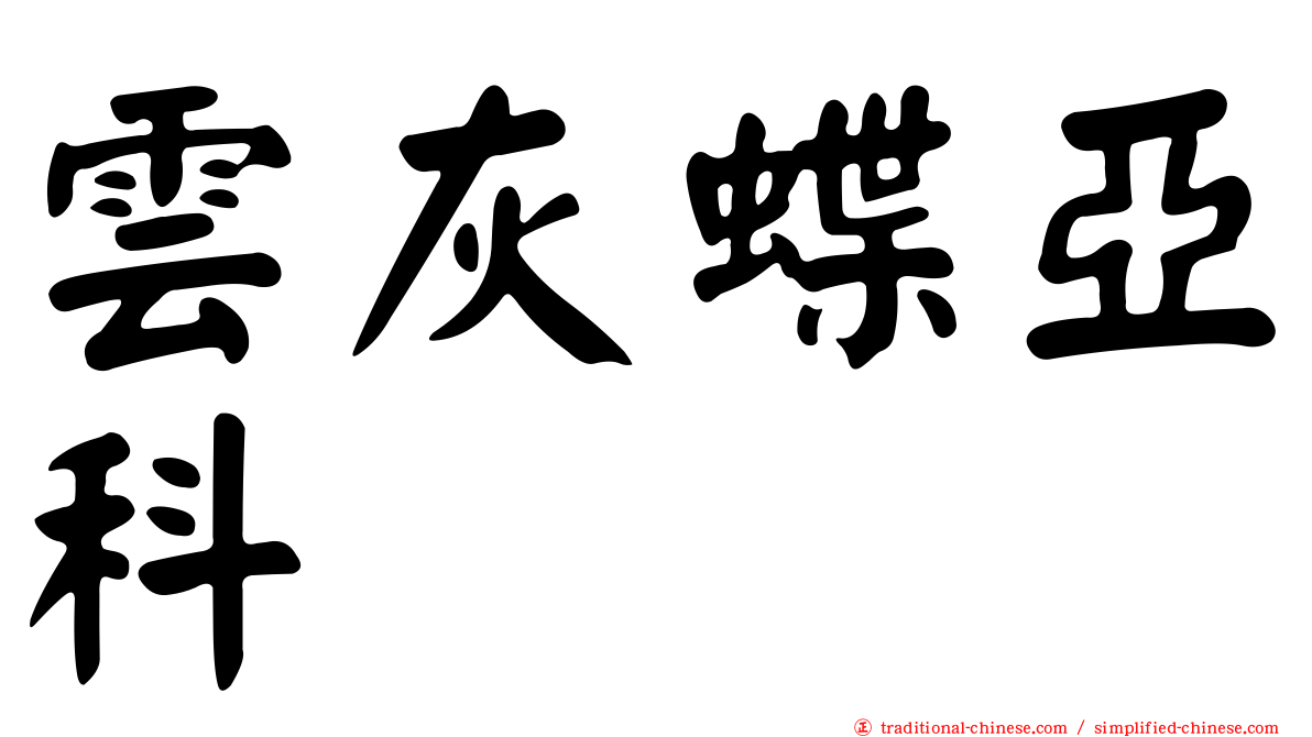 雲灰蝶亞科