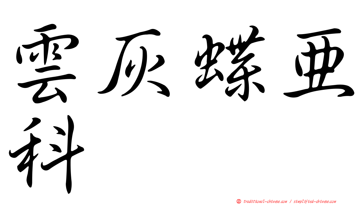 雲灰蝶亞科