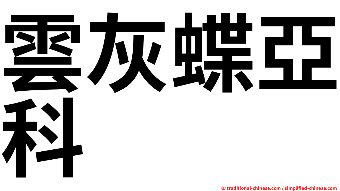 雲灰蝶亞科