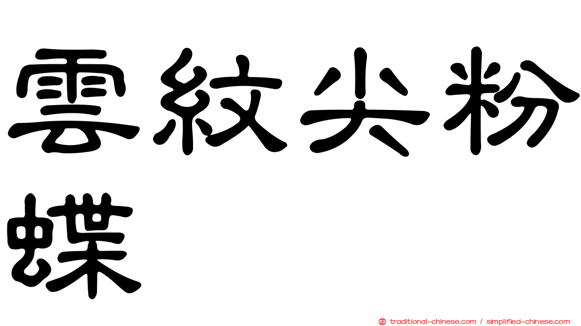 雲紋尖粉蝶