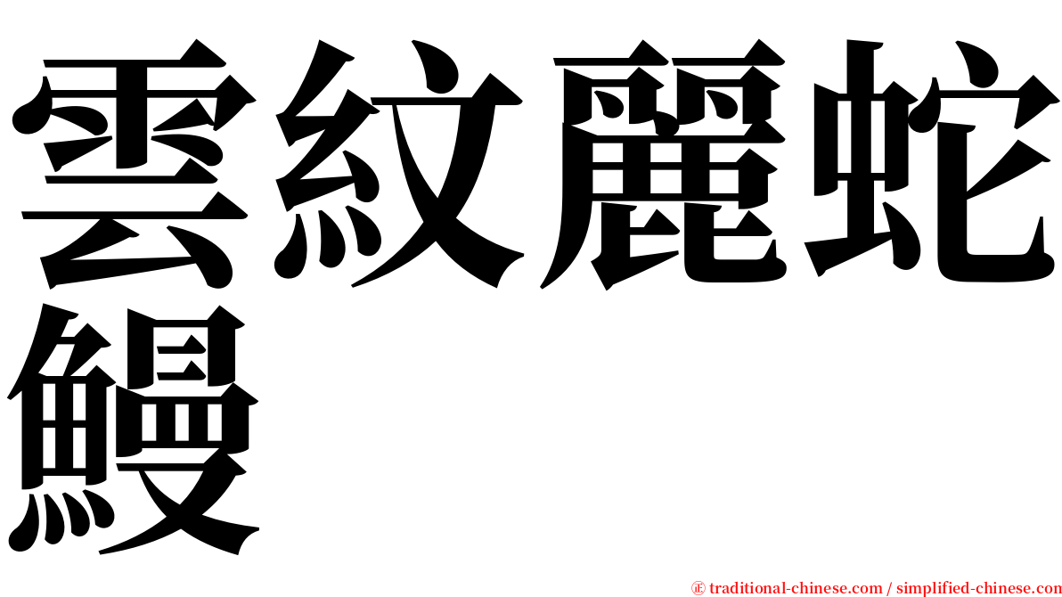雲紋麗蛇鰻 serif font