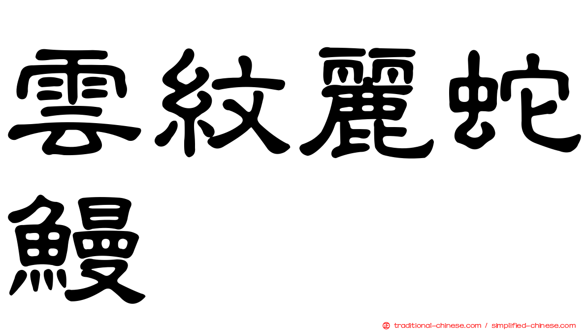 雲紋麗蛇鰻
