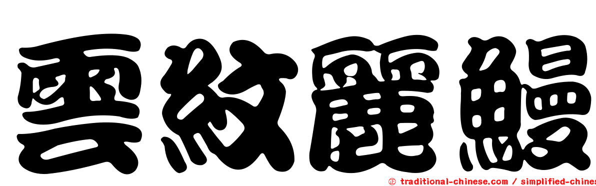 雲紋麗鰻