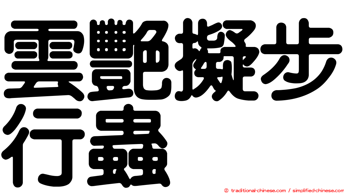 雲艷擬步行蟲