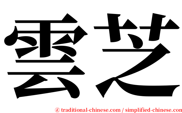 雲芝 serif font