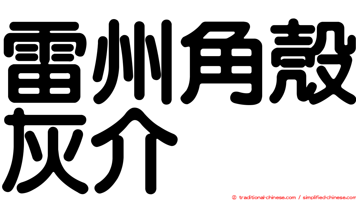 雷州角殼灰介