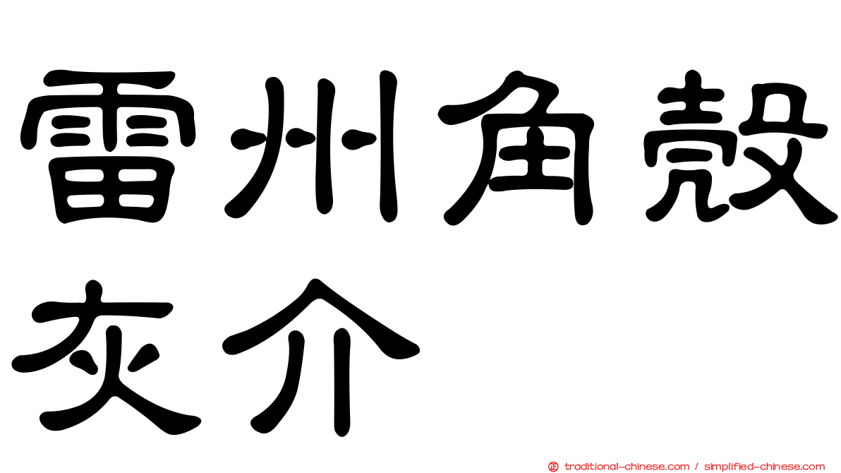雷州角殼灰介