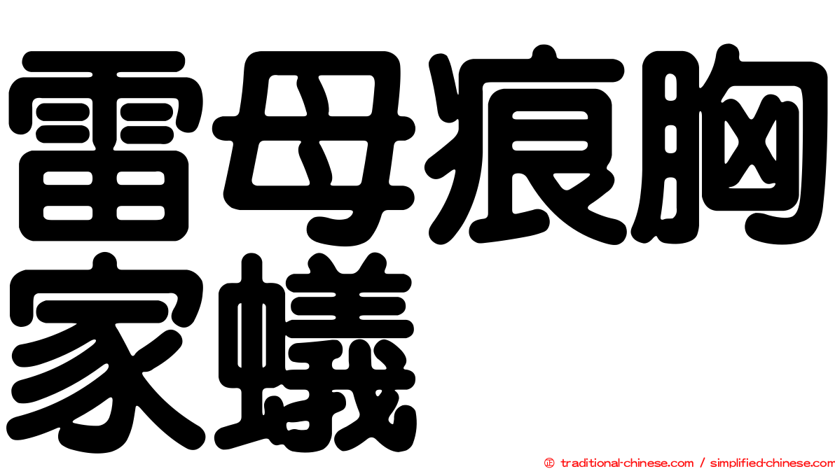 雷母痕胸家蟻