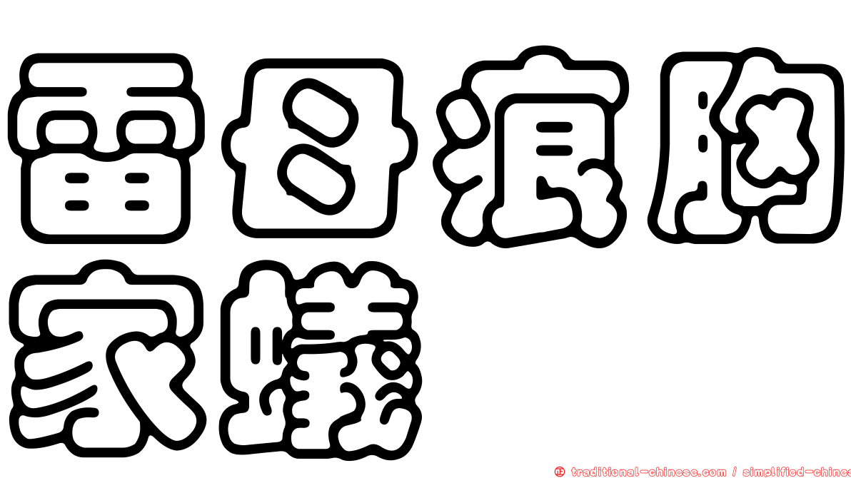 雷母痕胸家蟻