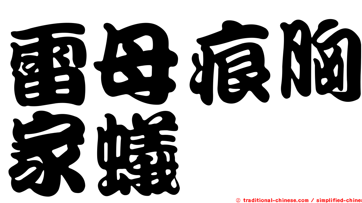 雷母痕胸家蟻