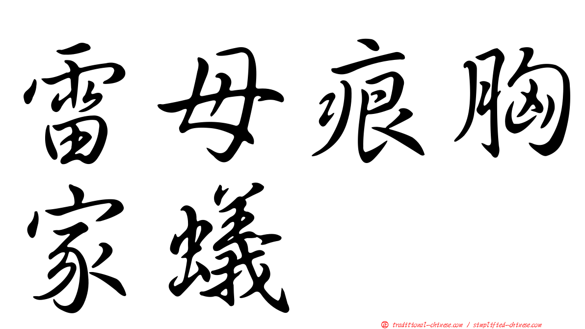 雷母痕胸家蟻