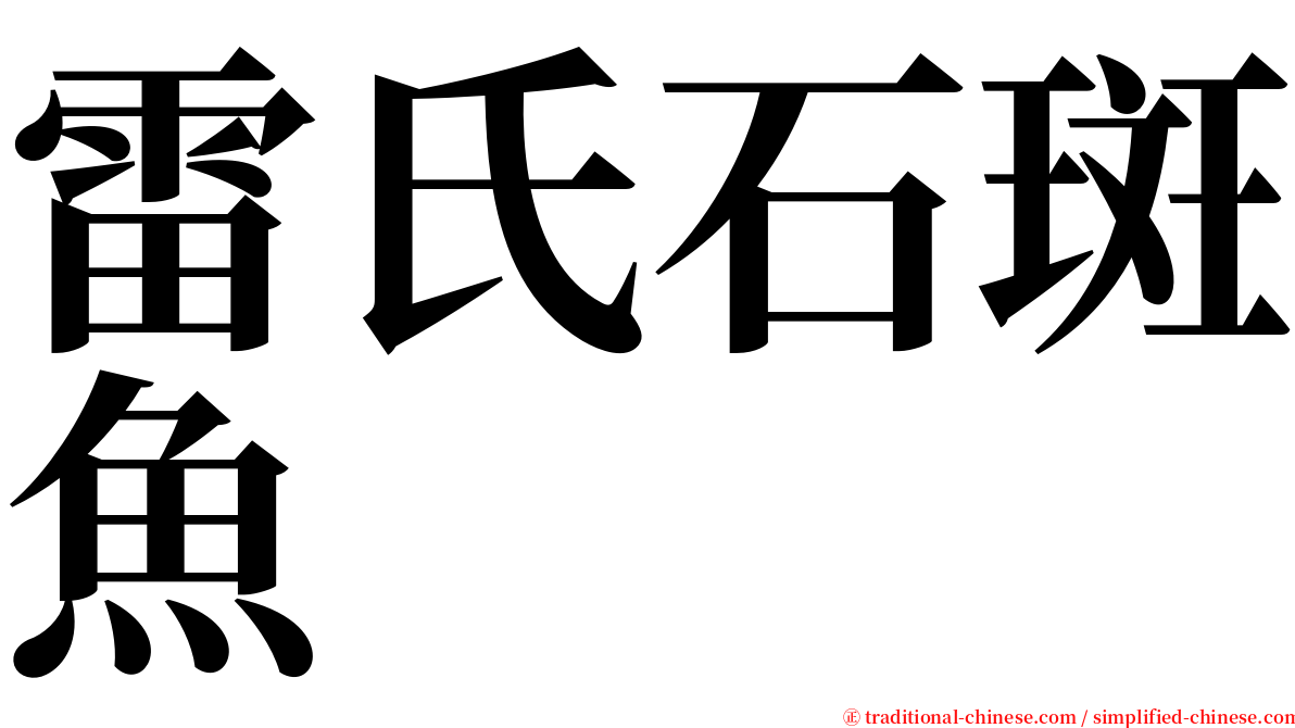 雷氏石斑魚 serif font