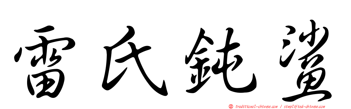 雷氏鈍鯊