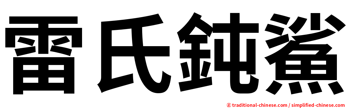 雷氏鈍鯊