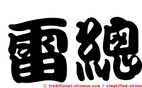 雷總