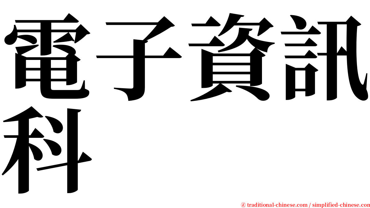 電子資訊科 serif font
