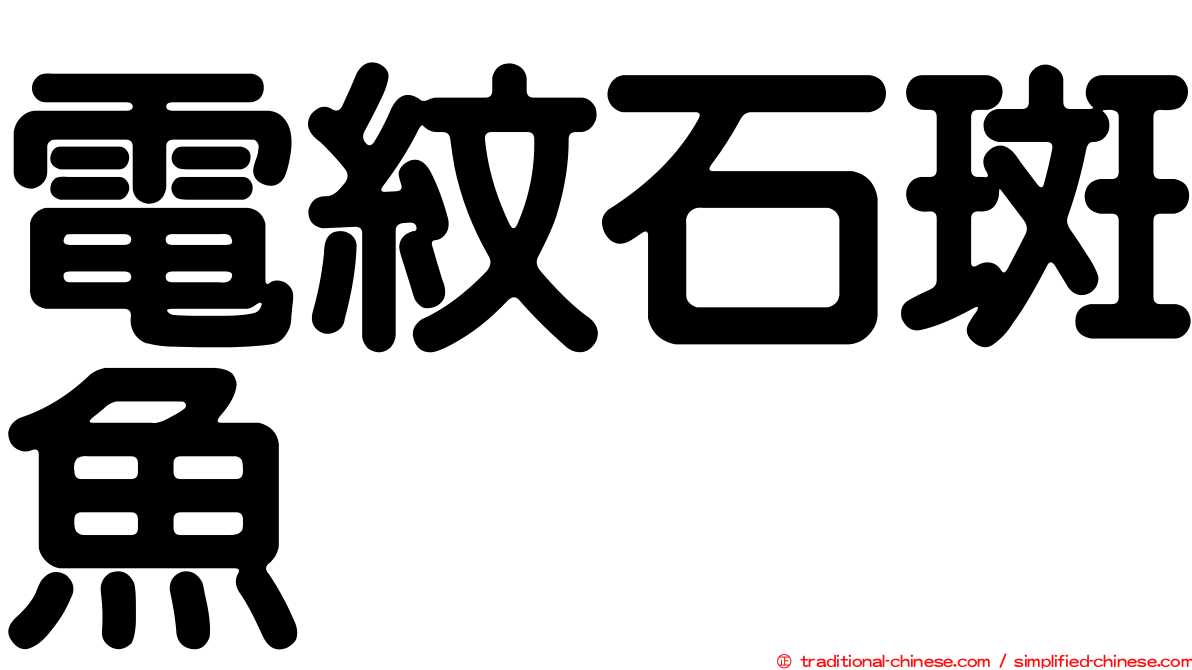 電紋石斑魚