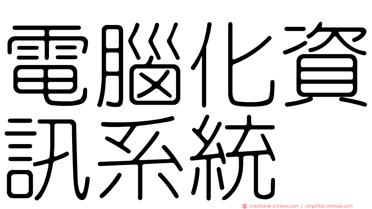 電腦化資訊系統