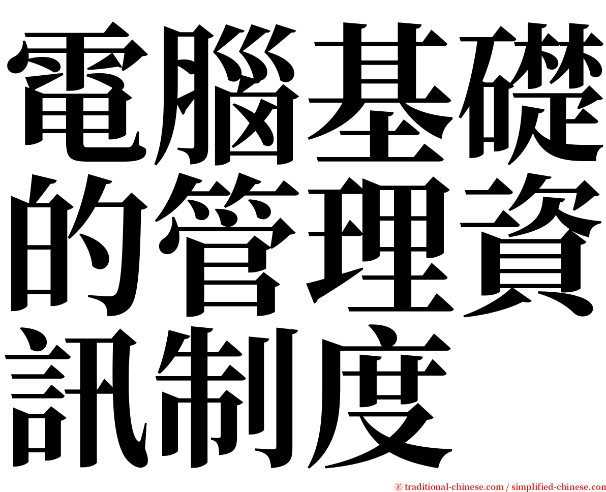 電腦基礎的管理資訊制度 serif font