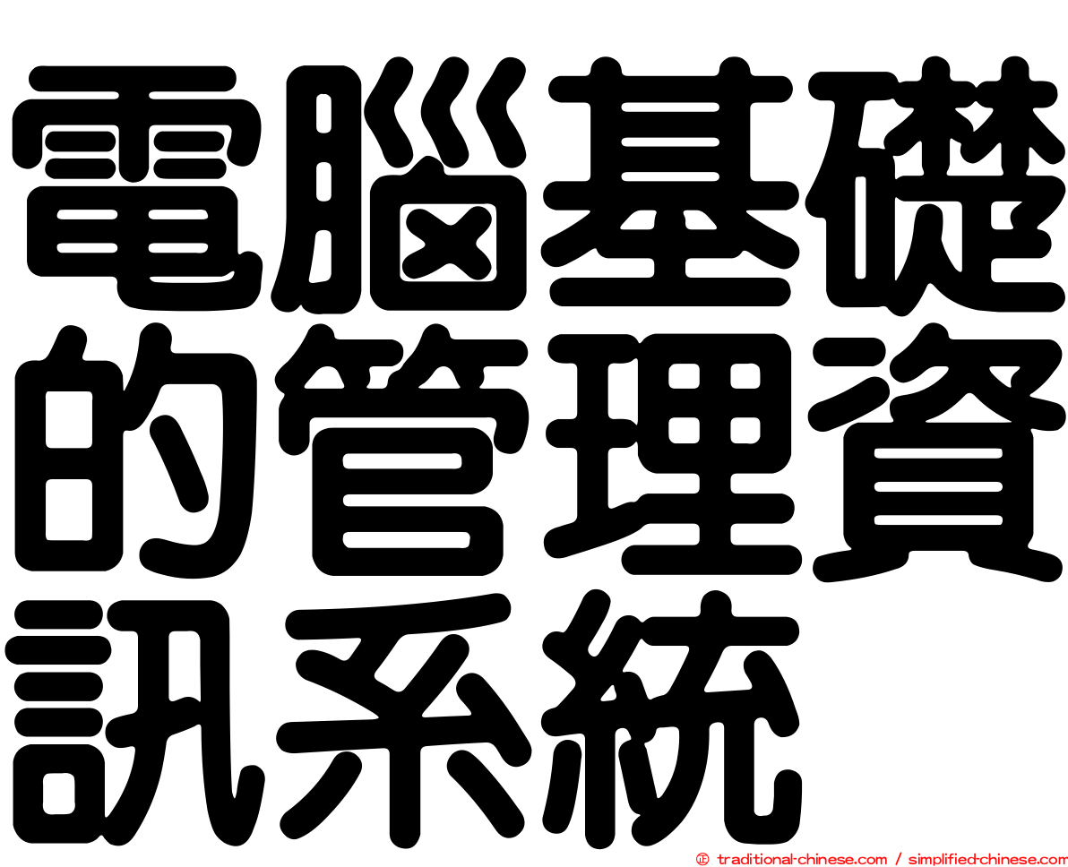 電腦基礎的管理資訊系統